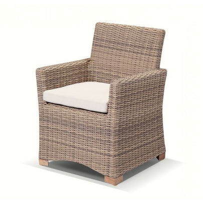 Coco Outdoor Wicker and Teak Dining Arm Chair