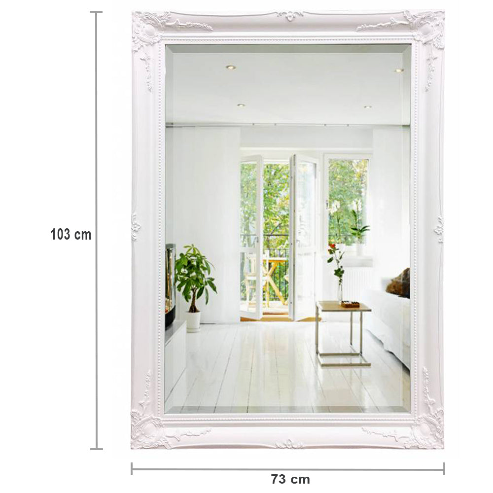 Cora Decorative 103cm x 73cm Mirror